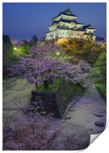Evening view of Wakayama castle in cherry-blossom sakura season in Japan Print by Mirko Kuzmanovic