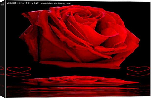 Red Rose Canvas Print by Ian Jeffrey