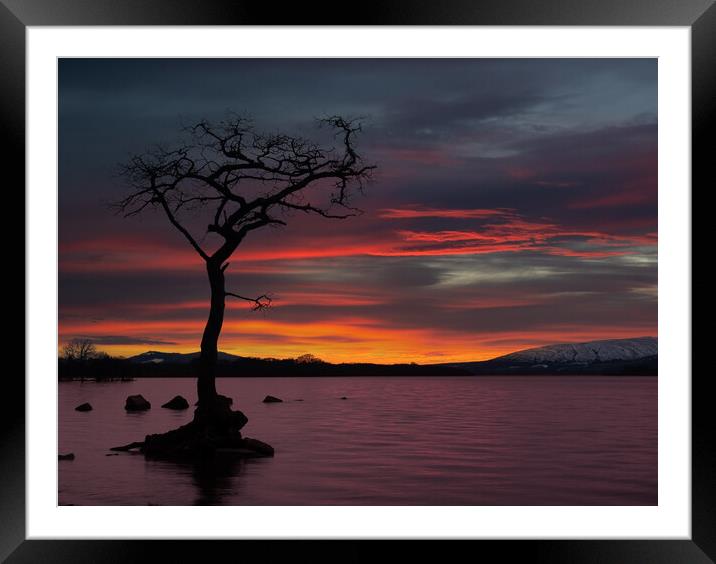 Sunset at Loch Lomond, Scotland.  Framed Mounted Print by Tommy Dickson