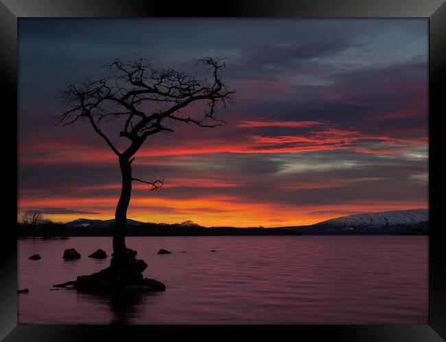 Sunset at Loch Lomond, Scotland.  Framed Print by Tommy Dickson