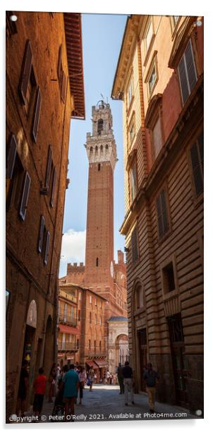 Torre de Mangia, Siena, Italy Acrylic by Peter O'Reilly