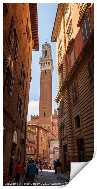 Torre de Mangia, Siena, Italy Print by Peter O'Reilly