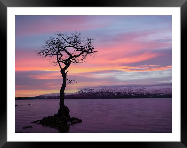 Serene Scottish Sunset Framed Mounted Print by Tommy Dickson