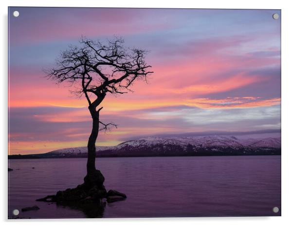Serene Scottish Sunset Acrylic by Tommy Dickson