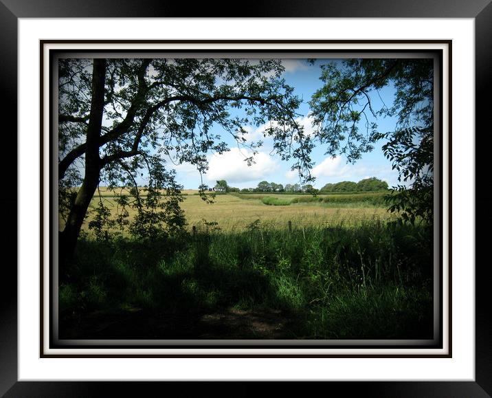 View of Charterhouse from Woods. Framed Mounted Print by Heather Goodwin