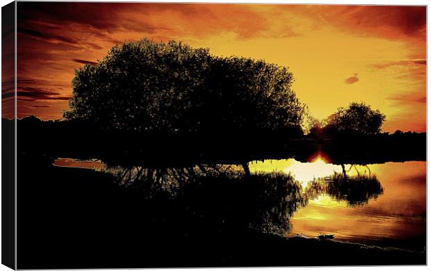 Sunset Reflections Canvas Print by Louise Godwin
