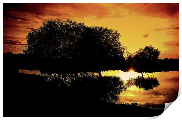 Sunset Reflections Print by Louise Godwin
