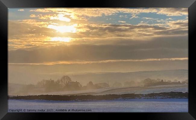 Serene Winter Sunrise Framed Print by tammy mellor