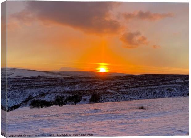Majestic Sunset Over Frosty Moorlands Canvas Print by tammy mellor