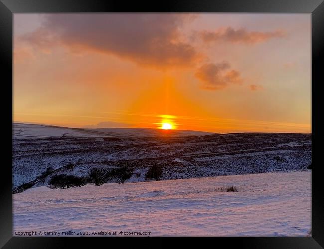 Majestic Sunset Over Frosty Moorlands Framed Print by tammy mellor