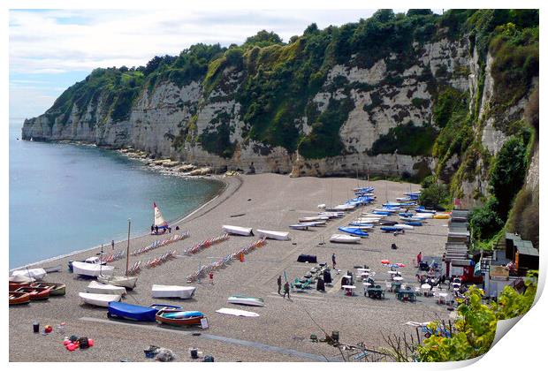 Beer beach Jurassic Coast Devon England Print by Andy Evans Photos