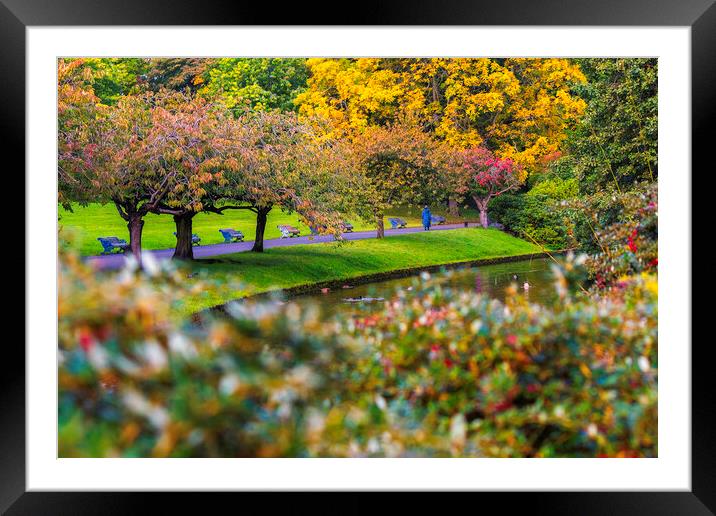 Summer blooms Framed Mounted Print by Kevin Elias