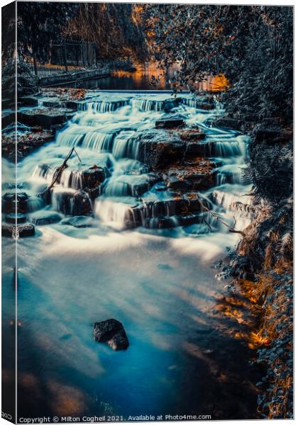 Long exposure of Carshalton Ponds Waterfall in Autumnal tones - Portrait Canvas Print by Milton Cogheil