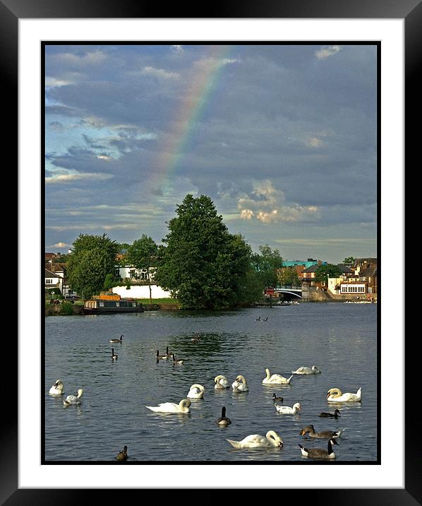 Rainbow over the Thames Framed Mounted Print by Paul Howell