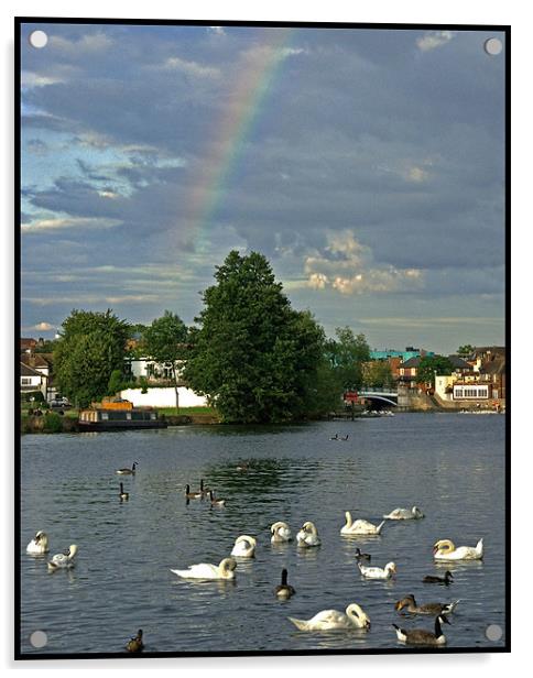 Rainbow over the Thames Acrylic by Paul Howell