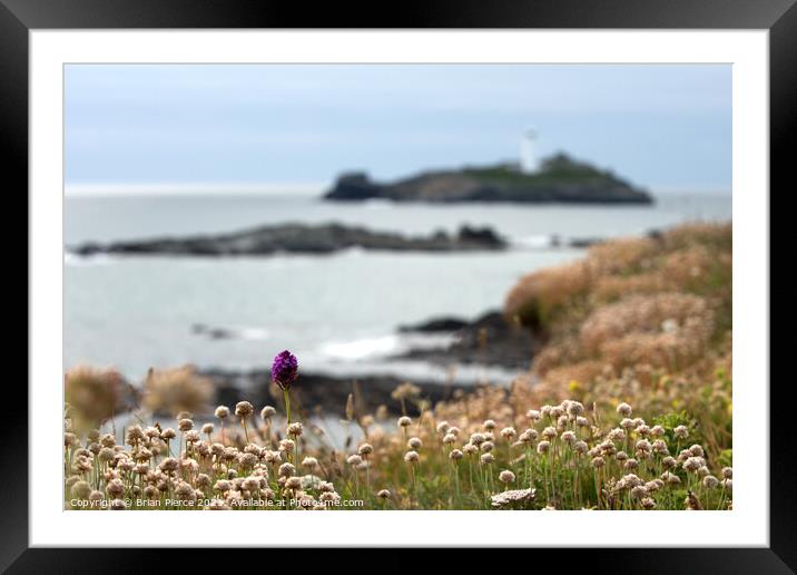 Thrift, Orchids and Godrevy Lighthouse from the So Framed Mounted Print by Brian Pierce
