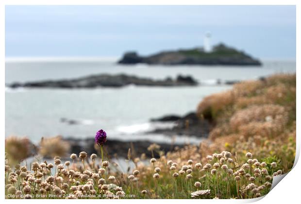 Thrift, Orchids and Godrevy Lighthouse from the So Print by Brian Pierce