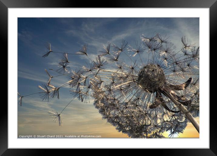 Summer Breeze Dandelion as sunset Framed Mounted Print by Travel and Pixels 