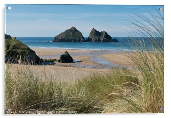 Gull Rocks  Holywell, Bay,North Cornwall Acrylic by Brian Pierce