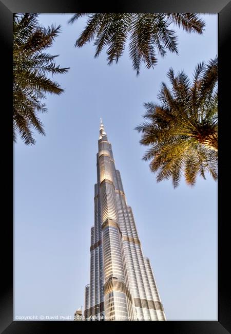 Burj Khalifa Palm Trees  Framed Print by David Pyatt