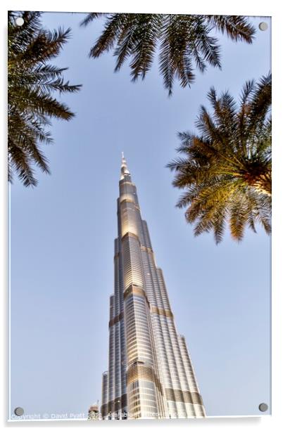 Burj Khalifa Palm Trees  Acrylic by David Pyatt