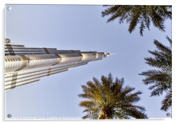 Burj Khalifa Dubai Palm Trees  Acrylic by David Pyatt