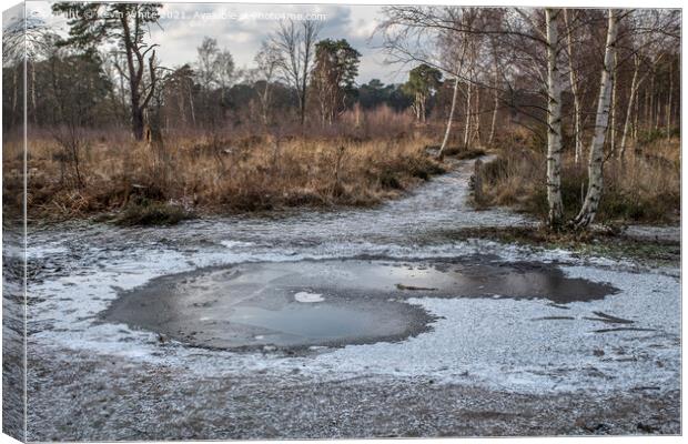 Frozen path at ockham common Canvas Print by Kevin White