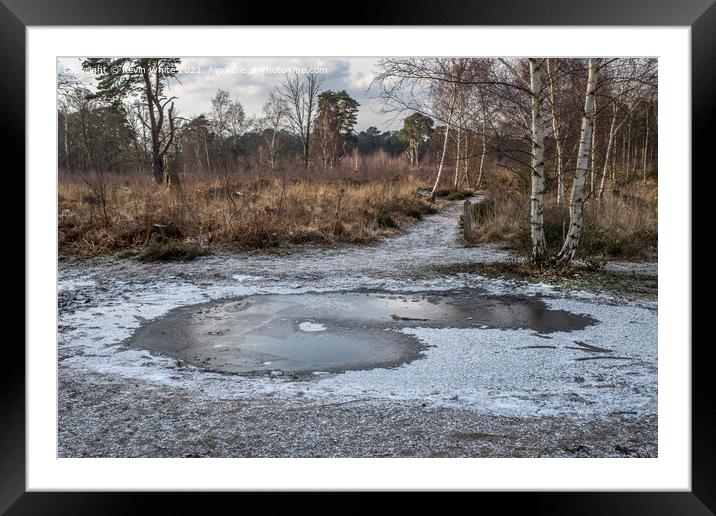 Frozen path at ockham common Framed Mounted Print by Kevin White