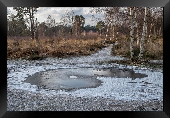 Frozen path at ockham common Framed Print by Kevin White