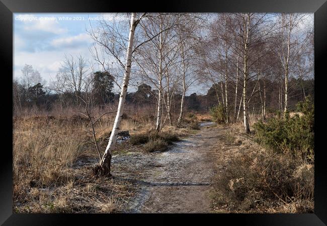 Ockham and Wisley Common Framed Print by Kevin White