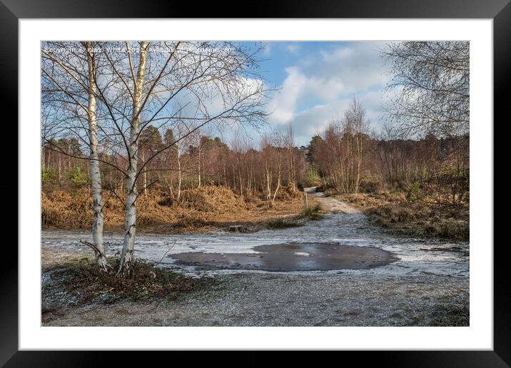 below zero at Ockham and Wisley Common Framed Mounted Print by Kevin White