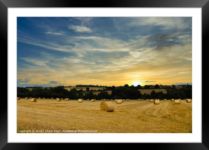 Hay bales and English countryside sunset Framed Mounted Print by Stuart Chard