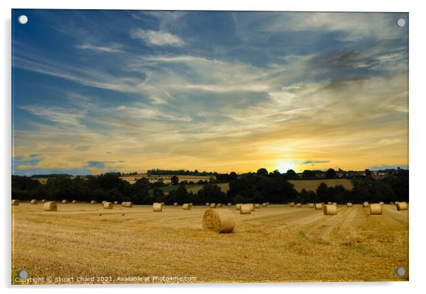 Hay bales and English countryside sunset Acrylic by Stuart Chard