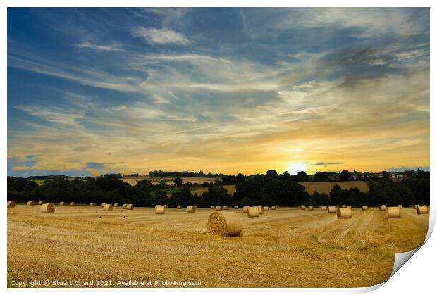 Hay bales and English countryside sunset Print by Stuart Chard