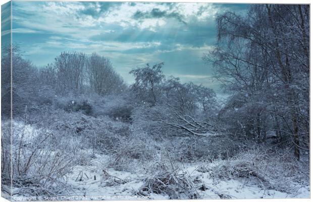 Snow landscape - english countryside in winter Canvas Print by Travel and Pixels 