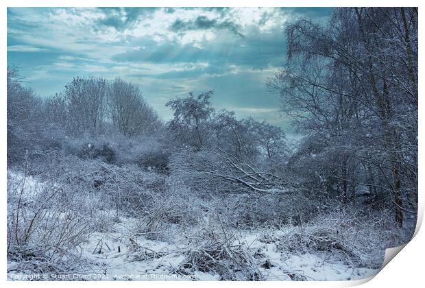 Snow landscape - english countryside in winter Print by Stuart Chard