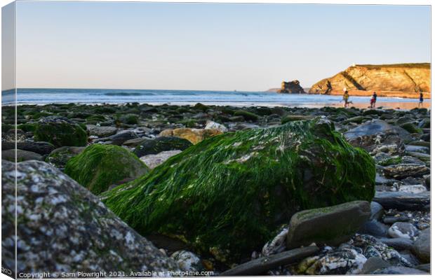 Colourful rock at sunset on Portreath beach. Canvas Print by Sam Plowright