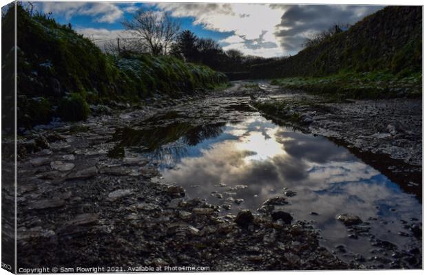Reflection off of a puddle at Carn Marth Canvas Print by Sam Plowright
