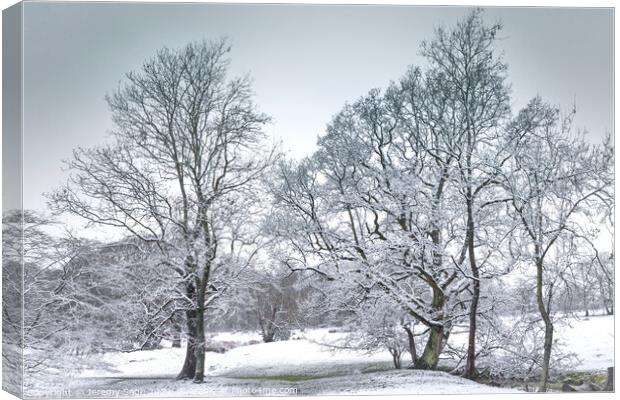 Majestic Winter Wonderland Canvas Print by Jeremy Sage