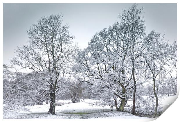 Majestic Winter Wonderland Print by Jeremy Sage