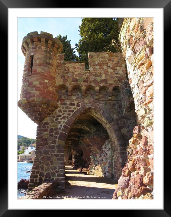 Castle arch at Chateau de la Napoule Framed Mounted Print by Ann Biddlecombe