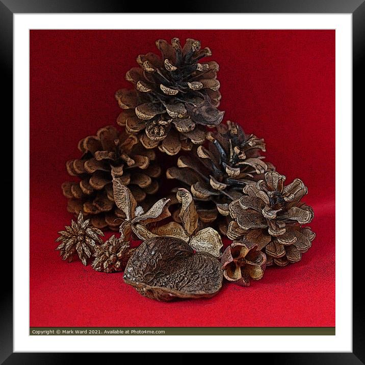 Pine Cones and Seed Cases. Framed Mounted Print by Mark Ward