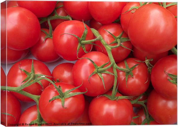 Tomatoes to go. Canvas Print by Robert Gipson