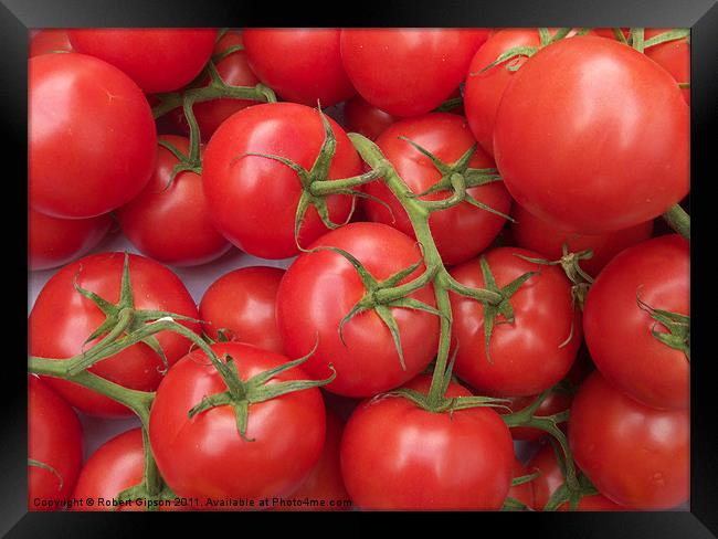 Tomatoes to go. Framed Print by Robert Gipson