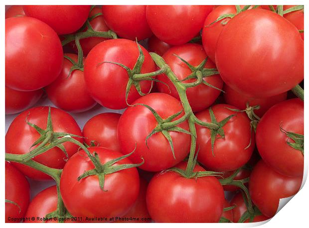 Tomatoes to go. Print by Robert Gipson