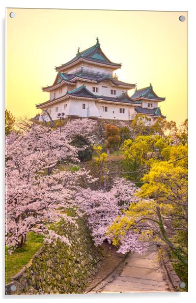 Wakayama castle during cherry-blossom Sakura season, Japan Acrylic by Mirko Kuzmanovic