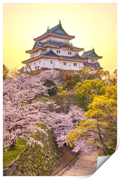 Wakayama castle during cherry-blossom Sakura season, Japan Print by Mirko Kuzmanovic