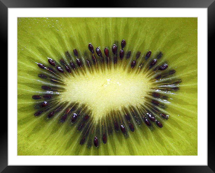KIWI Framed Mounted Print by Kevin Sung