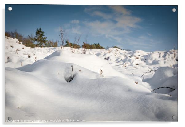 Serene Winter Wonderland Acrylic by Jeremy Sage