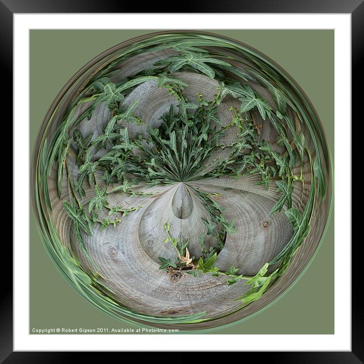 Spherical Paperweight Ivy Framed Mounted Print by Robert Gipson
